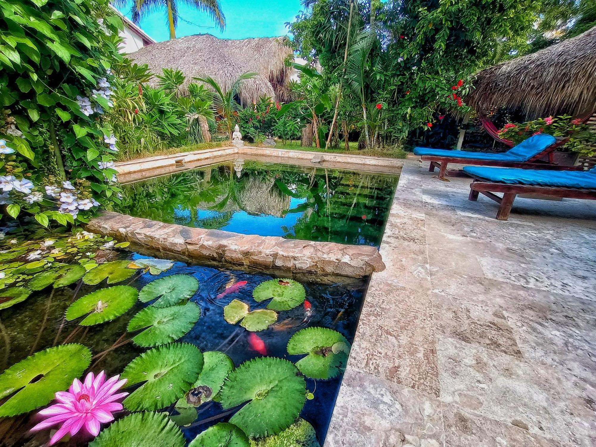 拉斯特拉纳斯 Dream Glamping Jungle Bohio酒店 外观 照片
